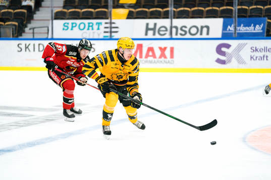Skellefteås Adam Wilsby och Luleås Filip Hållander