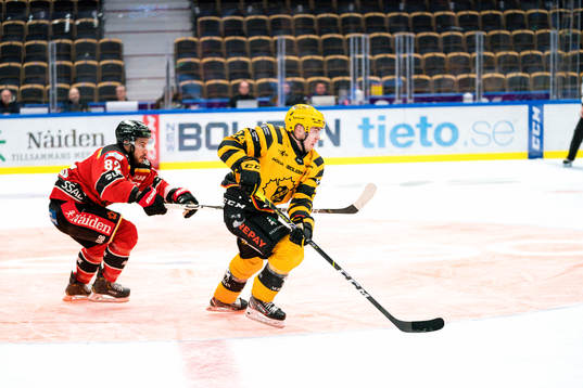 Skellefteås Andreas Wingerli och Luleås Chris Desousa