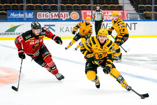 Skellefteås Andreas Wingerli och Luleås Jonas Berglund