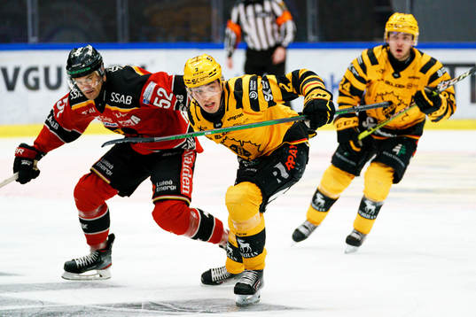 Luleås Karl Fabricius och Skellefteås Adam Wilsby