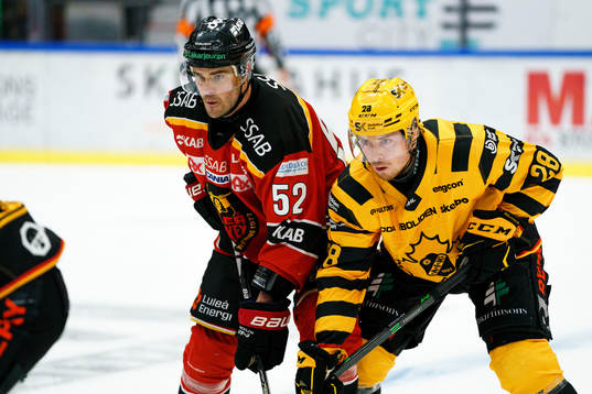 Luleås Karl Fabricius och Skellefteås Jesper Frödén