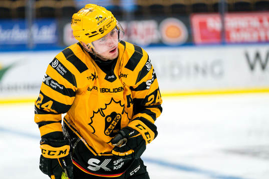 Skellefteås Andreas Wingerli