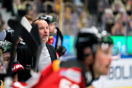 Luleås tränare Thomas Berglund