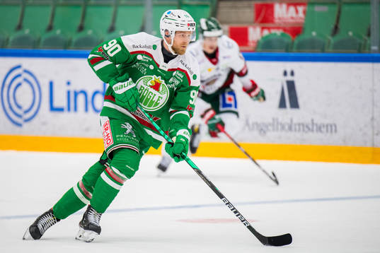 Rögles Ted Brithén