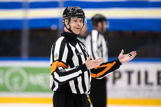 Domare Mikael Andersson