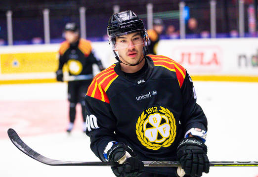 Brynäs Shane Harper