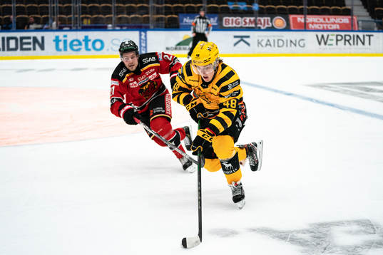 Skellefteås Jonatan Berggren och Luleås Juhani Tyrväinen