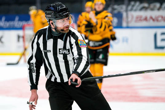 Linjedomare Emil Yletyinen