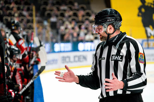 Linjedomare Emil Yletyinen