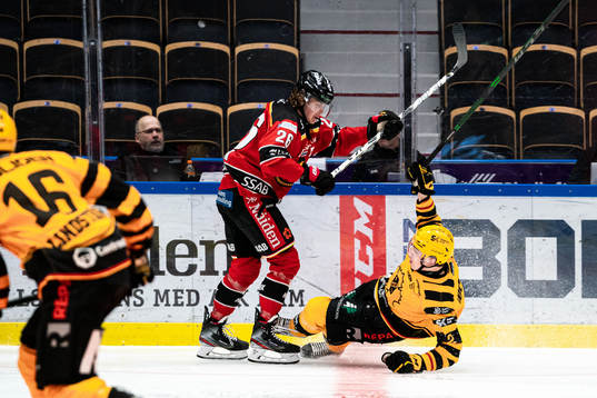 Skellefteås Adam Wilsby och Luleås Radek Muzik