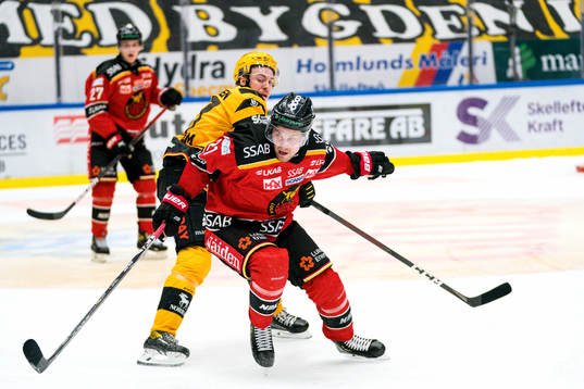 Skellefteås Pär Lindholm och Luleås Juhani Tyrväinen