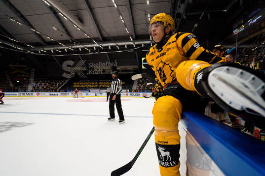 Skellefteås Adam Wilsby