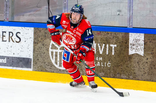 Västerviks Erik Gustafsson