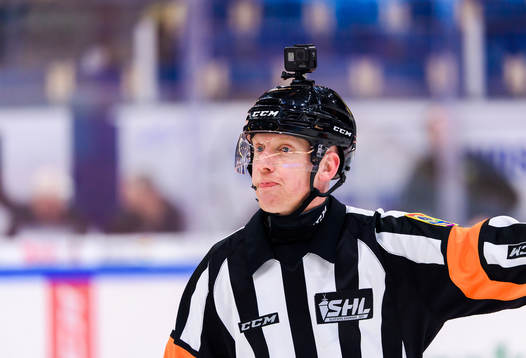 Domare Mikael Holm