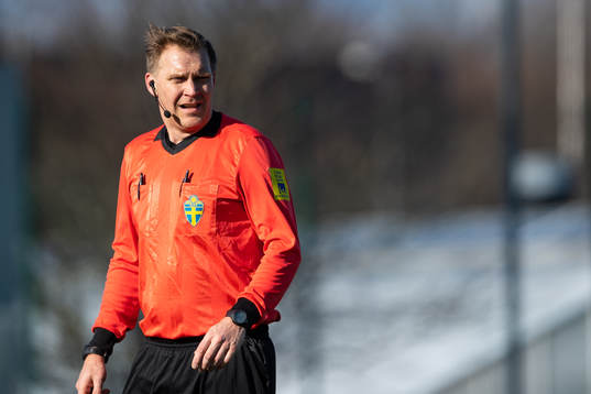 Domare Mattias Theander