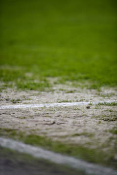 The pitch