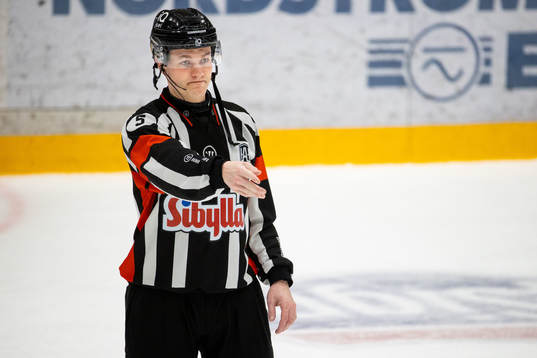 Domare Daniel Eriksson