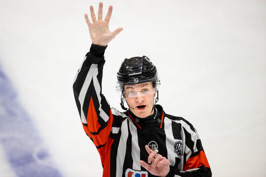 Domare Daniel Eriksson
