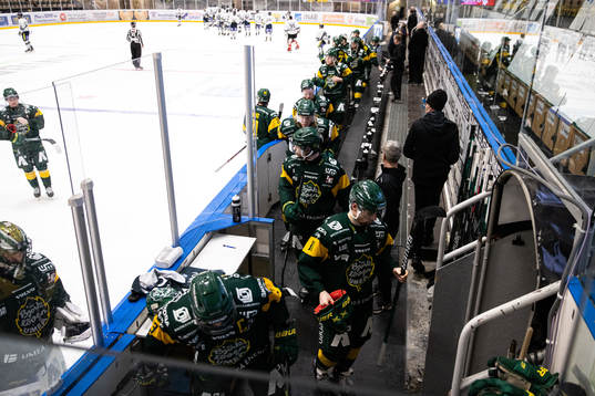Björklövens spelare deppar