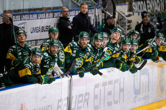 Björklövens spelare