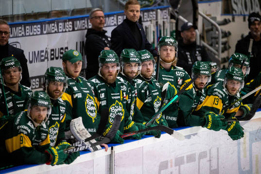 Björklövens spelare