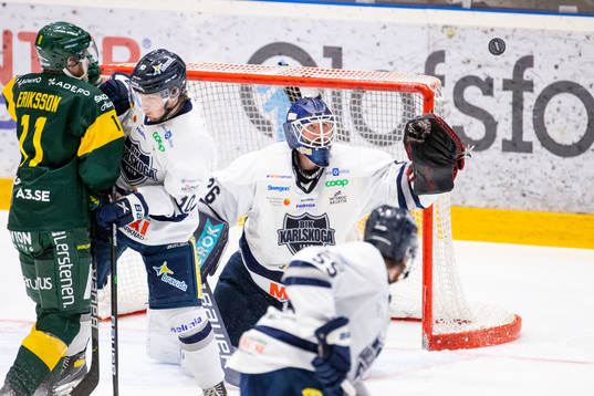 Karlskogas målvakt Stefan Steen
