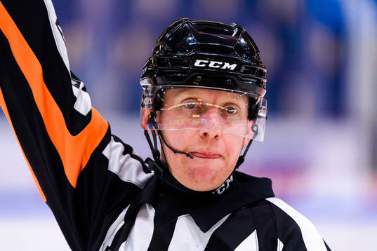 Domare Mikael Holm