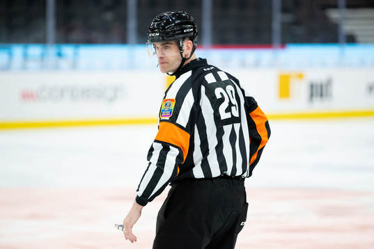 Domare Richard Magnusson