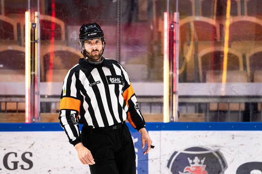 Domare Mikael Sjöqvist