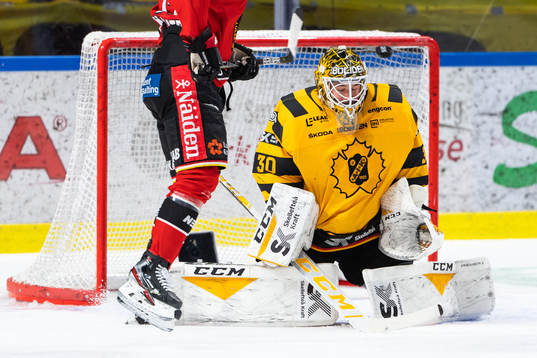 Skellefteås målvakt Gustaf Lindvall