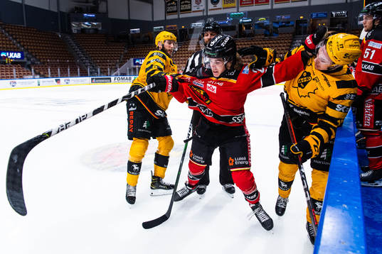 Skellefteås Petter Granberg, Luleås Radek Muzik och