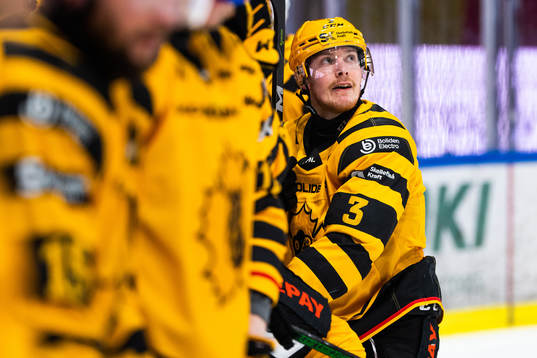 Skellefteås Niclas Burström
