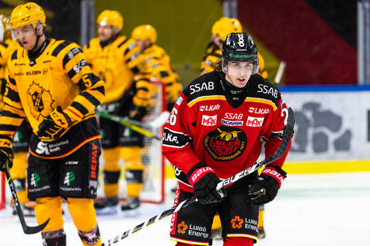 Luleås Radek Muzik