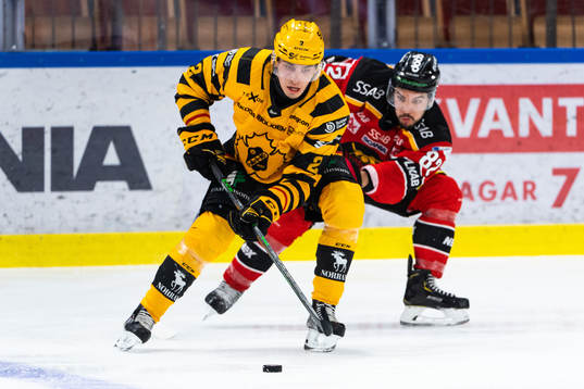 Skellefteås Adam Wilsby och Luleås Chris Desousa