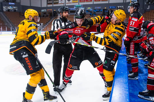 Luleås Radek Muzik
