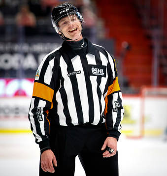 Domare Mikael Andersson
