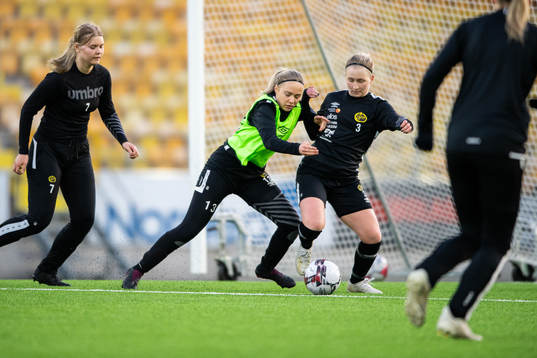 Evelina Brink och Fanny Johansson
