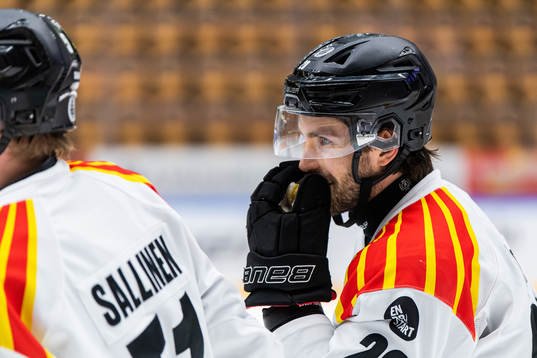Brynäs Oula Palve