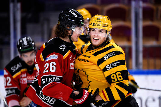 Luleås Radek Muzik och Skellefteås Rickard Hugg