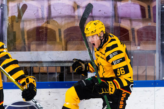 Skellefteås Rickard Hugg jublar