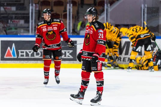Luleås Radek Muzik