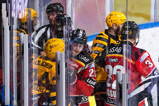 Luleås Radek Muzik