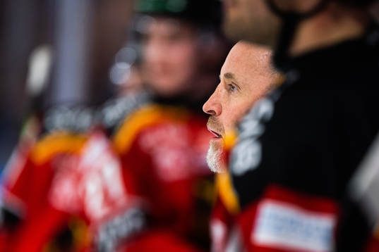 Luleås tränare Thomas Berglund