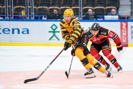 Skellefteås Albin Sundsvik och Luleås Filip Hållander