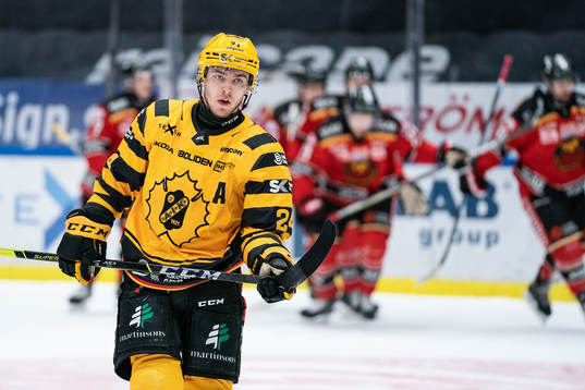 Skellefteås Andreas Wingerli deppar