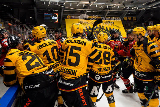 Slagsmål mellan båsen