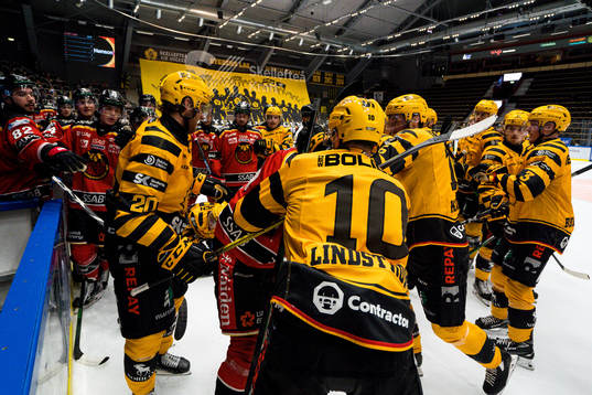 Slagsmål mellan båsen