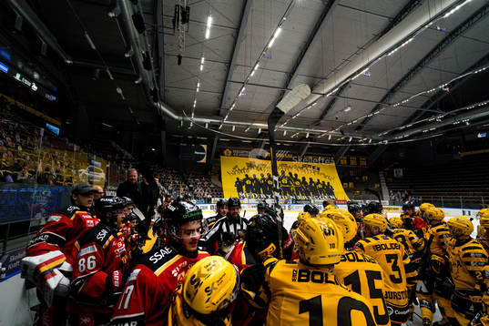 Slagsmål mellan båsen