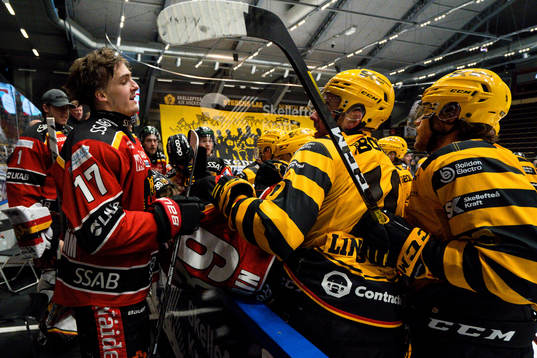 Slagsmål mellan båsen mellan Luleås Isac Brännström