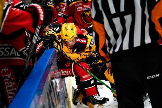 Luleås Juhani Tyrväinen och Skellefteås Jonatan Berggren